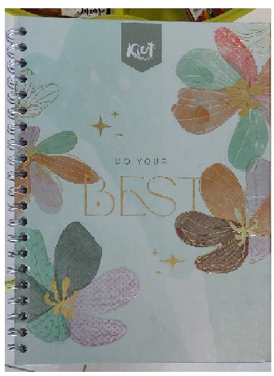 cuaderno dibujo buho resortes decorado 40 hojas